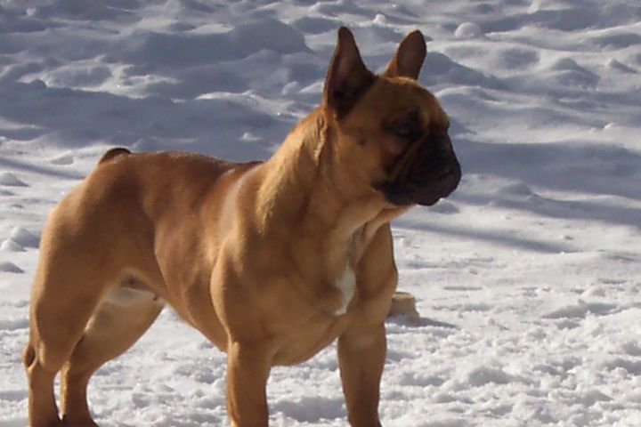 janvier 2003_0278 janvier 2003_0278